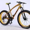 MYTNN Fatbike 26 Zoll 21 Gang Shimano Fat Tyre Mountainbike Gold 47 cm RH Snow Bike Fat Bike